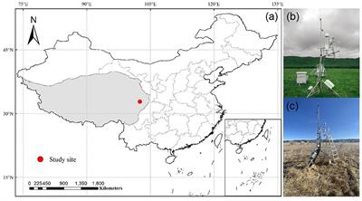 Seasonal and Inter-Annual Variations of Carbon Dioxide Fluxes and Their Determinants in an Alpine Meadow